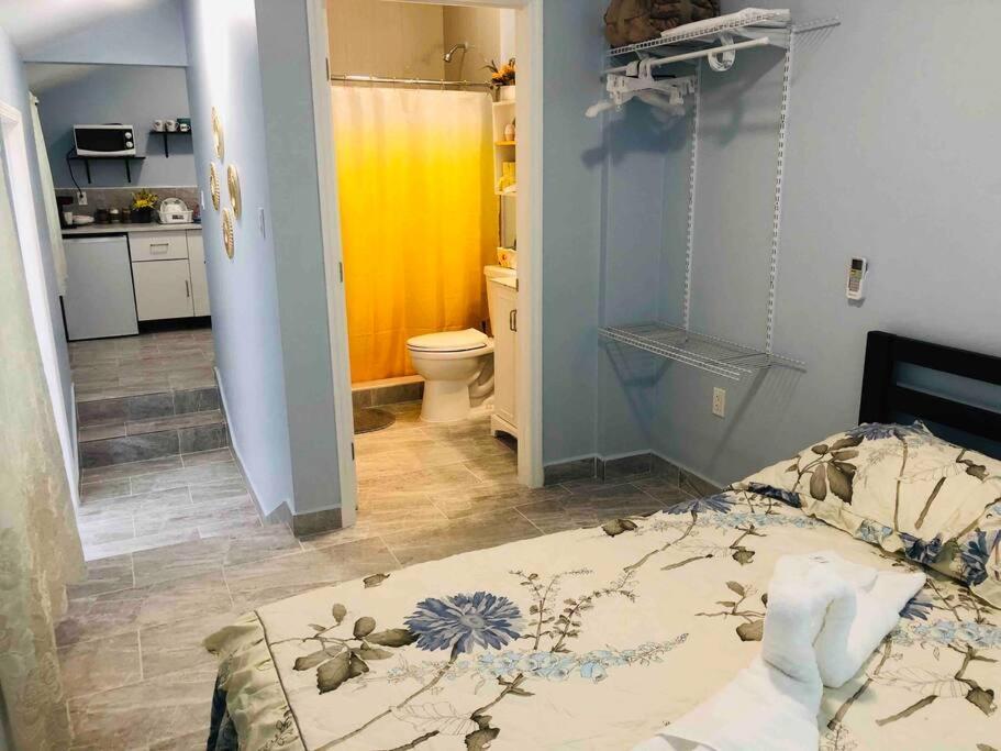 New Luxurious Studio Private In The Heart Of ميامي المظهر الخارجي الصورة