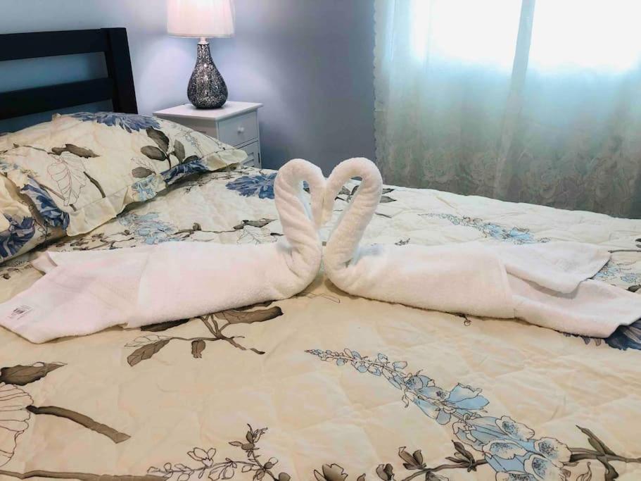 New Luxurious Studio Private In The Heart Of ميامي المظهر الخارجي الصورة