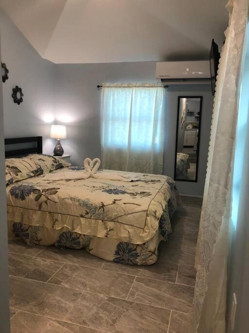New Luxurious Studio Private In The Heart Of ميامي المظهر الخارجي الصورة
