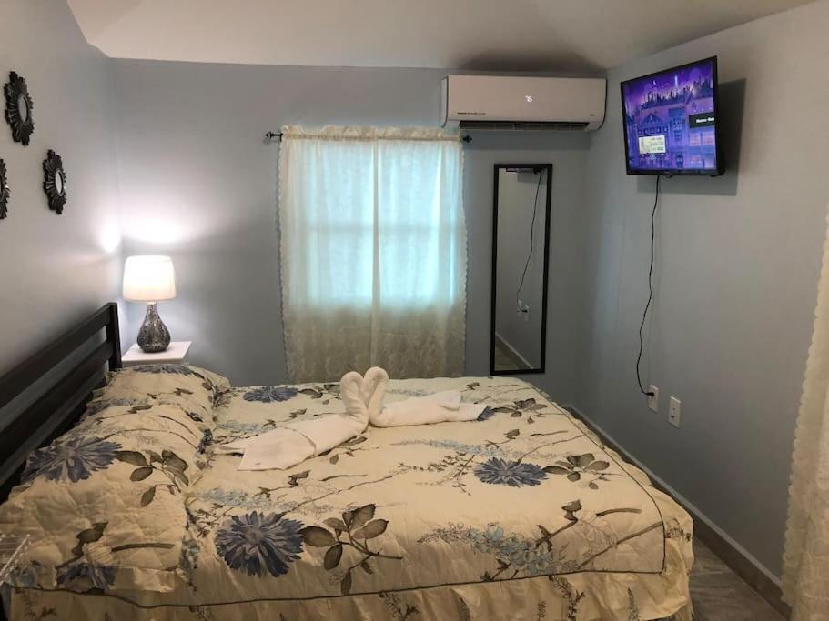 New Luxurious Studio Private In The Heart Of ميامي المظهر الخارجي الصورة
